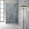 Paravan dus walk-in Aqua Roy INOX, model Dance incolor, sticla 8 mm gri, securizata, anticalcar, 110x195 cm