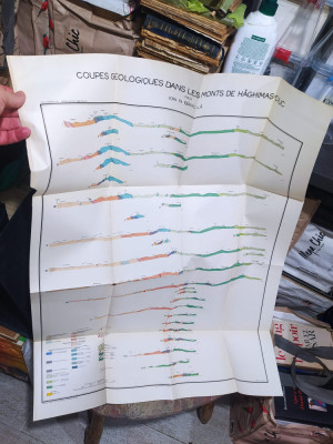 Coupes geologiques dans les monts de Hășmaș Hăghimaș Ciuc, Ion Băncilă 1941, 111 foto