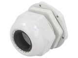 Garnitură Etanșare Poliamidă Gri IP65 M50 1.5