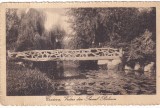 Craiova. Vedere din Parcul Bibescu (circulata 1913)