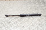 Amortizor haion dreapta TESLA MODEL 3 2020 OEM: 1091560-00-B 16035609