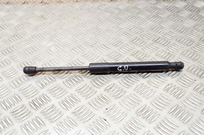 Amortizor haion dreapta TESLA MODEL 3 2020 OEM: 1091560-00-B 16035609 foto