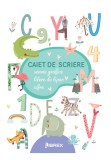 Caiet de scriere. Semne grafice. Litere de tipar. Cifre