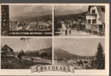 CPIB 21236 CARTE POSTALA - PREDEAL, MOZAIC, RPR, Circulata, Fotografie