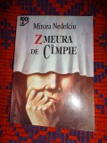 Zmeura de campie ( roman impotriva memoriei )- Mircea Nedelciu / an 1999,246 pagini