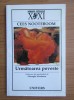 Cees Nooteboom - Urmatoarea poveste