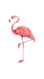 Cumpara ieftin Sticker decorativ Flamingo, Roz, 85 cm, 3702ST, Oem