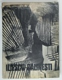 GH. ILIESCU - CALINESTI de CORNEL RADU CONSTANTINESCU , ALBUM , 1986 , DEDICATIE *
