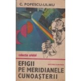 Efigii pe meridianele cunoasterii