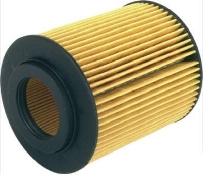 Filtru ulei SRLine Polonia S11-3081 pentru Opel Meriva 2003-2010, Opel Astra G 1998 2004, Astra H, Opel Corsa C 2000 2006, Honda Civic 2001 2005 J131 foto