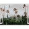Autocolant decorativ, Fereastra, Natura si peisaje, Multicolor, 85 cm, 2022ST