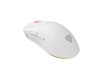 Mouse Genesis WS Zircon 3 26000 DPI alb
