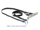 Bracket cu 2 x USB-C 20V/3A, Delock 89935