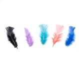 Pene colorate pentru activitati crafts-60 bucati, Oem