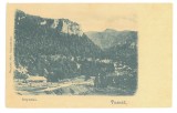 1821 - TUSNAD, Harghita, Litho, Romania - old postcard - used - 1903
