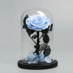 Trandafir Criogenat XXL bleu Ø9,5cm in cupola sticla 17x28cm