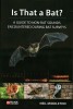 Is That a Bat?: A Guide to Non-Bat Sounds Encountered During Bat Surveys