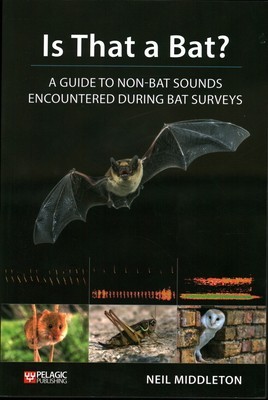 Is That a Bat?: A Guide to Non-Bat Sounds Encountered During Bat Surveys foto