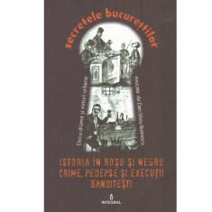 Dan-Silviu Boierescu - Istoria in rosu si negru. Crime, pedepse si