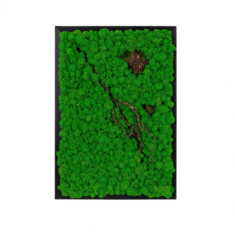 Tablou din licheni 80x50 cm