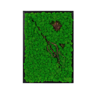 Tablou din licheni 80x50 cm foto