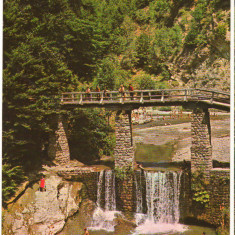 CPIB 16574 CARTE POSTALA - OLANESTI. CASCADA