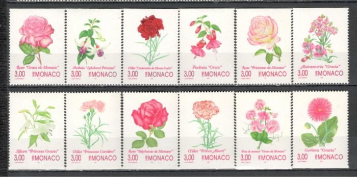 Monaco.1995 Flori DF.336