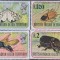 Lot de timbre cu insecte