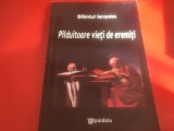 SFANTUL IERONIM, PILDUITOARE VIETI DE EREMITI