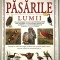 Pasarile lumii, Enciclopedie completa ilustrata, 2009, Aquila 93