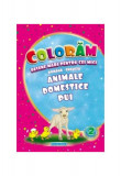 Animale domestice pui. Desene mari pentru cei mici rom&acirc;nă-engleză - Paperback - Eurobookids