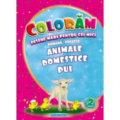 Animale domestice pui. Desene mari pentru cei mici română-engleză - Paperback - Eurobookids