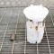 Pompa de combustibil rezervor FORD FOCUS III 2015 OEM: Hatchback | 11598663