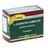 L-Carnitin Complex 40cps