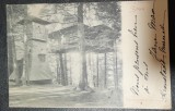 Carte postala, circulata, Sinaia Cuibul Princesei, 1909