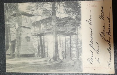Carte postala, circulata, Sinaia Cuibul Princesei, 1909 foto