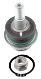 Pivot brat suspensie Ford Tourneo Connect, Tourneo Custom V362, Transit, Transit Connect, Transit Custom V362, Transit Sasiu, Transit Tourneo,