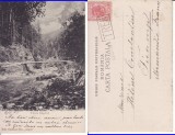 Valea Caprei (Arges)- clasica, stampila tren, rara, Circulata, Printata