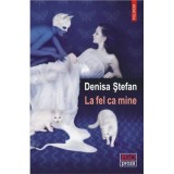 La fel ca mine - Denisa Stefan