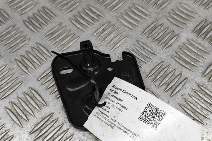 Zăvor de siguranță capota AUDI A3 Limousine 8YS 2022 OEM: 81A823185A 24599959