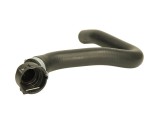 Furtun radiator FIAT GRANDE PUNTO (199) (2005 - 2016) THERMOTEC DWF061TT