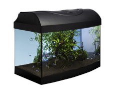 Set Acvariu STARTUP 40 LED Expert 6W - ARCUIT - NEGRU foto