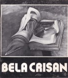 Bela Crisan Catalog Album Arta 1982 16 pagini 20x20 cm romana brosate