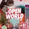 Open World Preliminary Self Study Pack (Sb W Answers W Online Practice and WB W Answers W Audio Download and Class Audio)