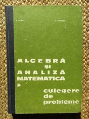 Algebra Si Analiza Matematica. Culegere De Probleme I - D. Flondor