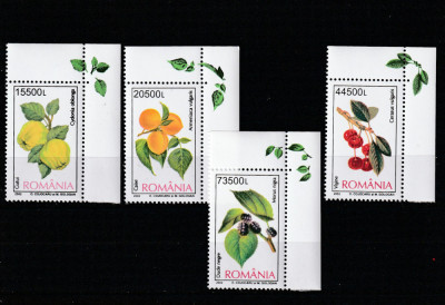 Romania 2002-Flora,Fructe,gutui,cais,visin,dud,serie 4 val.,MNH foto