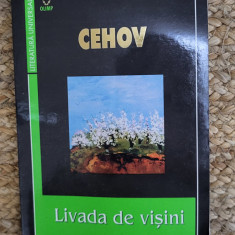 LIVADA DE VISINI-CEHOV