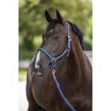 Capastru Hippo-Kerbl pentru cai, albastru