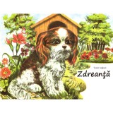 Zdreanta | Tudor Arghezi