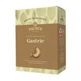 CEAI RETETE TRADITIONALE GASTRIC 180GR
